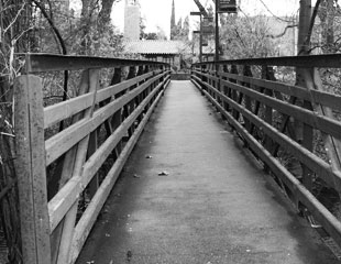 bridge